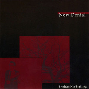 Now Denial - Brothers Not Fighting