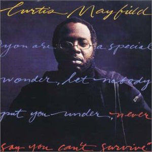 Curtis Mayfield - Never Say You Can't Survive