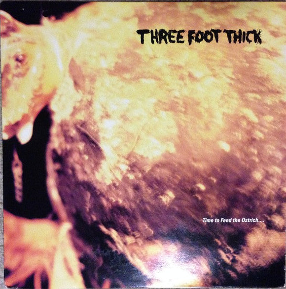 Three Foot Thick - Time to Feed the Ostrich