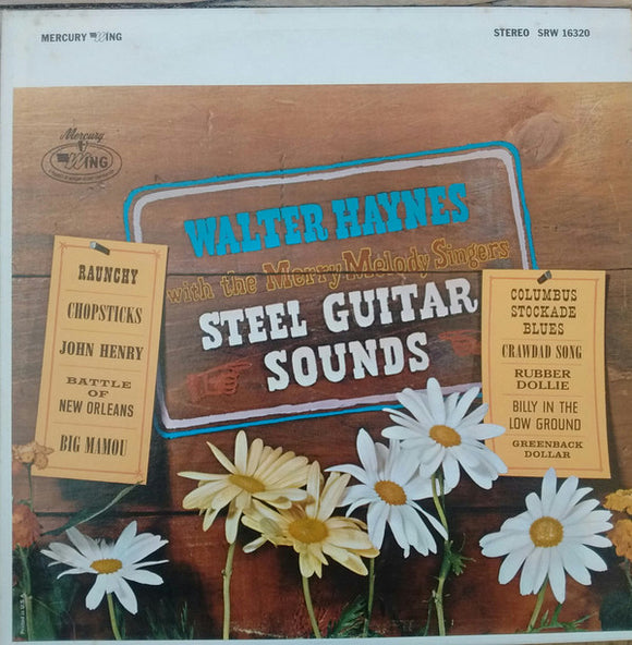 Walter Haynes - Steel Guitar Sounds