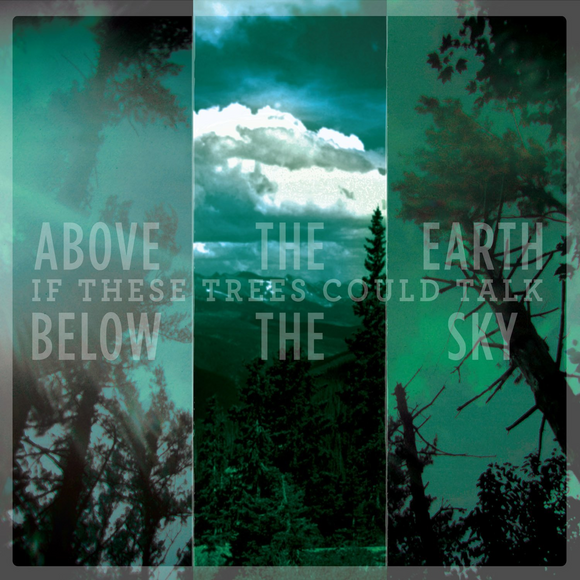If These Trees Could Talk - Above The Earth Below The Sky