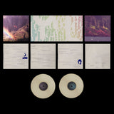 Youth Lagoon – The Year Of Hibernation