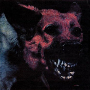 Protomartyr - Under Color Official Right