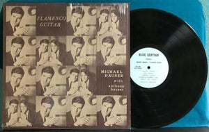 Michael Hauser  - Flamenco Guitars